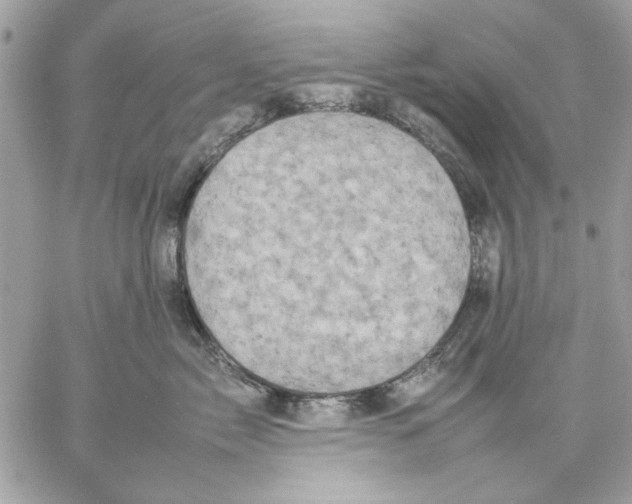 X0000057080717200510071845