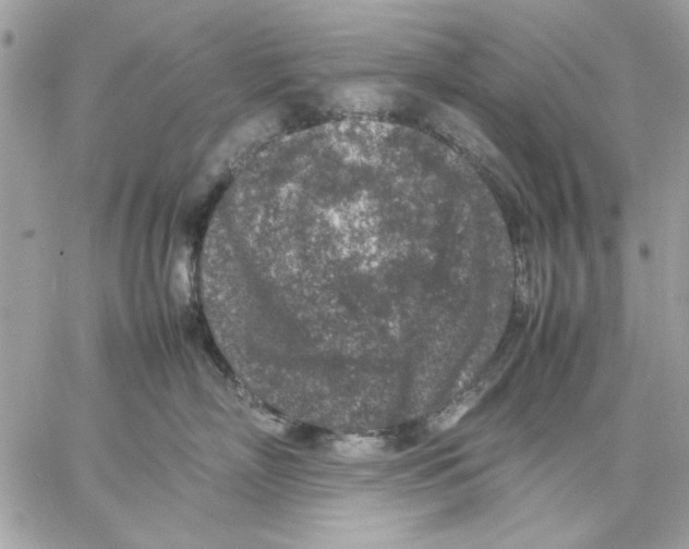 X0000057080718200510071845