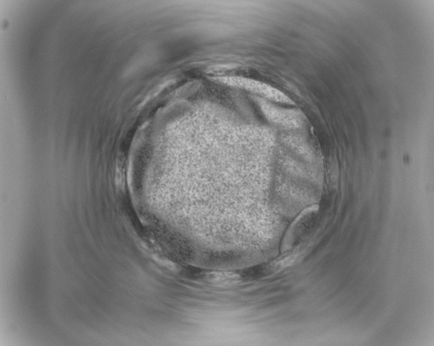 X0000057080719200510071845