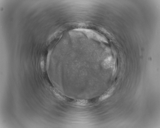 X0000057080720200510071845