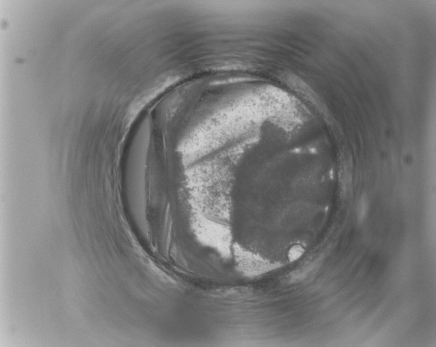 X0000057080721200510071844