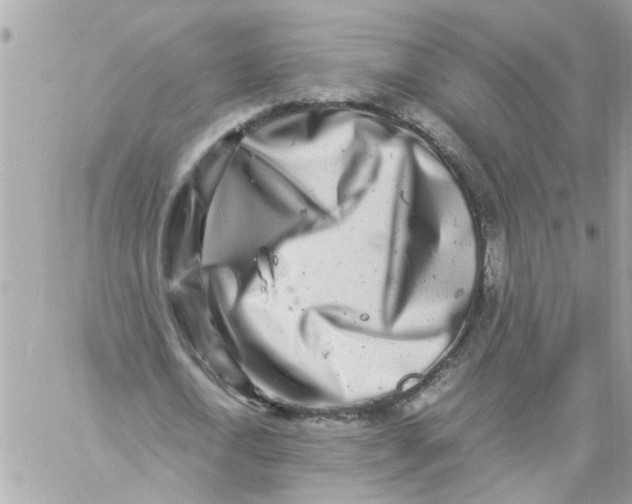 X0000057080722200510071844