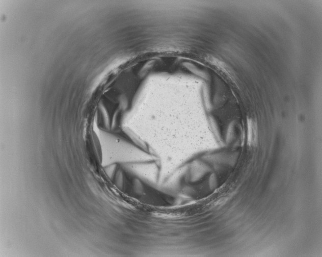 X0000057080723200510071844