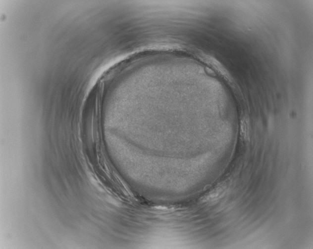 X0000057080724200510071844