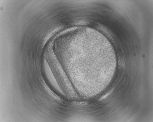 X0000057080725200510071844