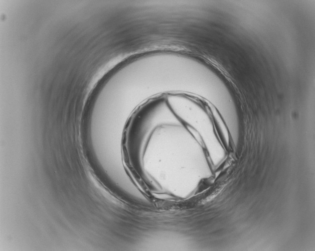 X0000057080726200510071844