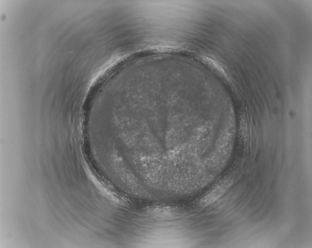 X0000057080730200510071844