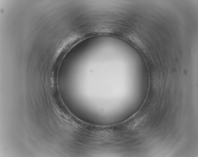 X0000057080731200510071844