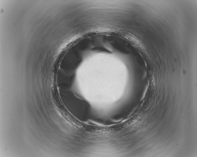 X0000057080732200510071844