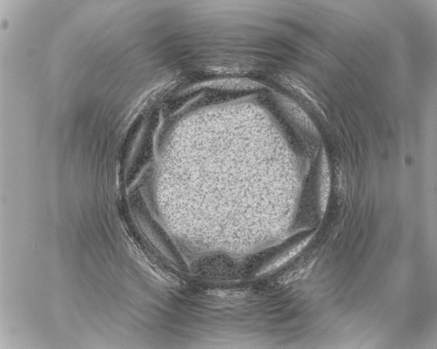 X0000057080733200510071844