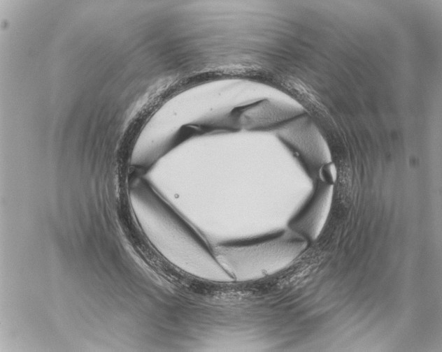 X0000057080734200510071844