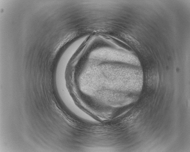 X0000057080735200510071844