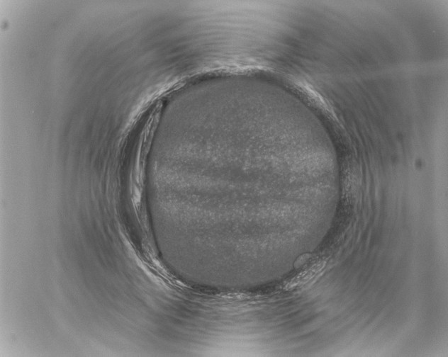 X0000057080736200510071845