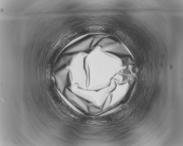 X0000057080739200510071845