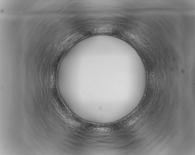 X0000057080741200510071845