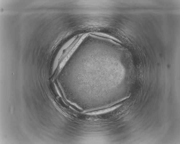 X0000057080742200510071845