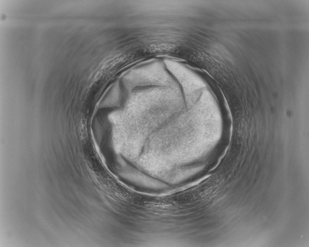 X0000057080743200510071845