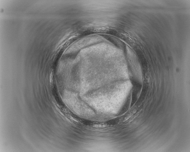 X0000057080744200510071845