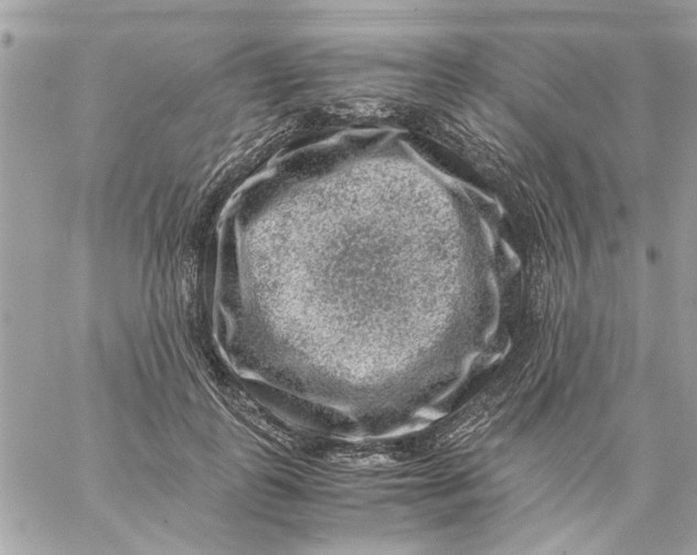 X0000057080747200510071845