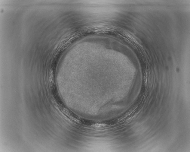 X0000057080748200510071845