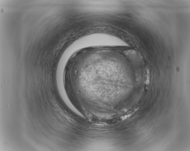 X0000057080750200510071845