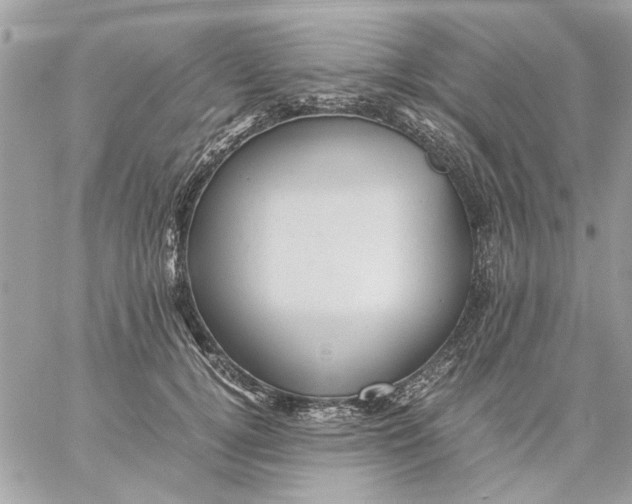 X0000057080752200510071845