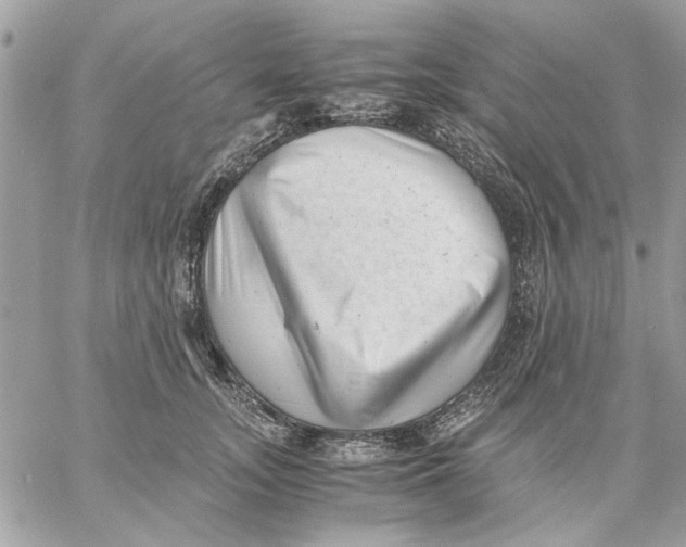 X0000057080755200510071845