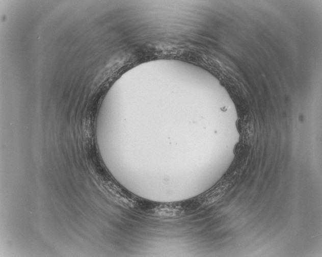 X0000057080756200510071845