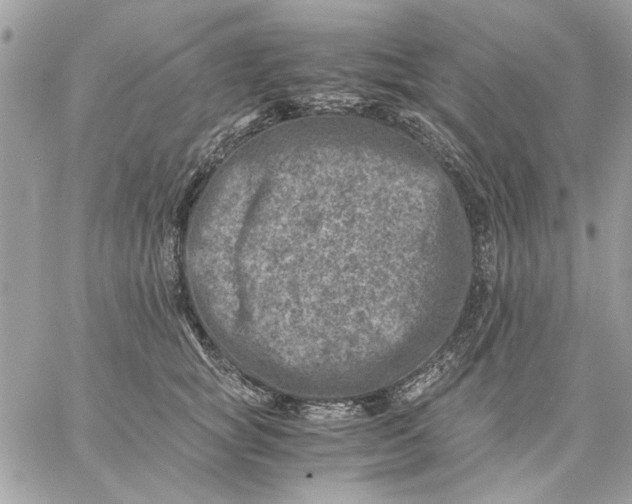 X0000057080757200510071845