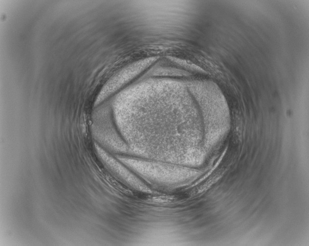 X0000057080758200510071845