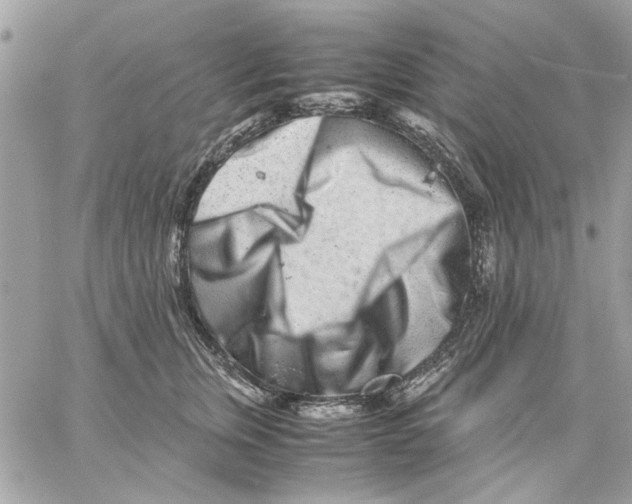 X0000057080759200510071845