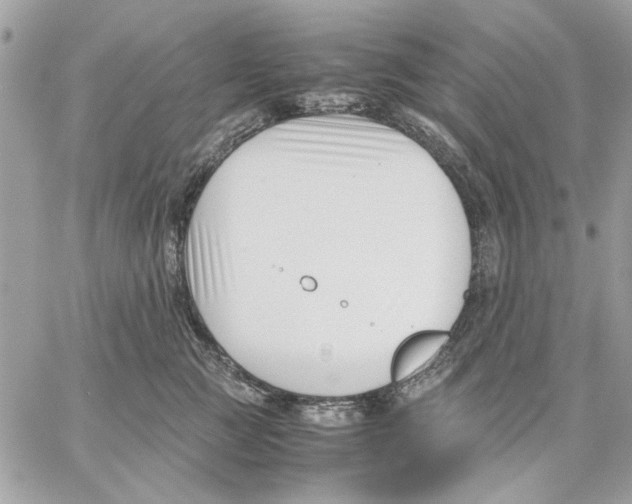 X0000057080761200510071845