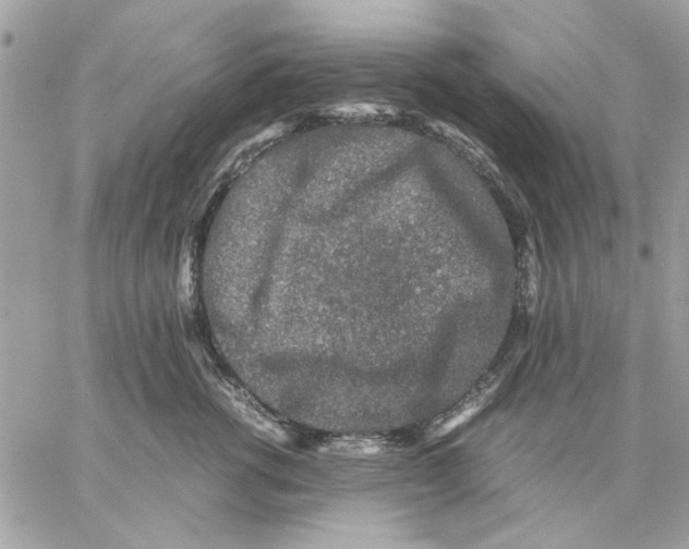 X0000057080762200510071845