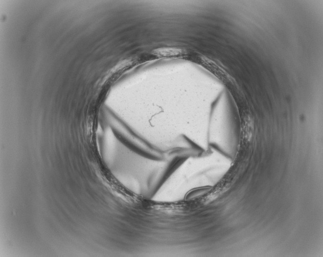 X0000057080763200510071845