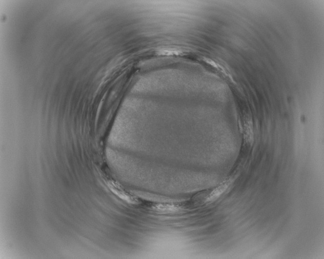 X0000057080766200510071845