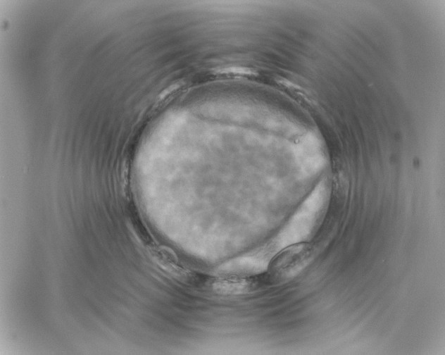 X0000057080767200510071845