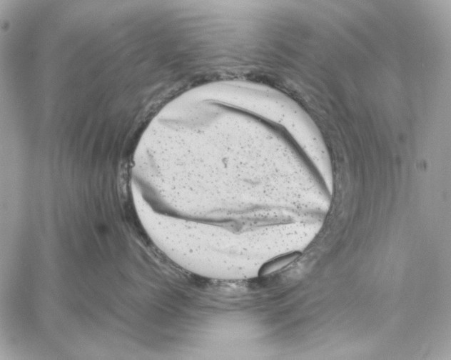 X0000057080768200510071845