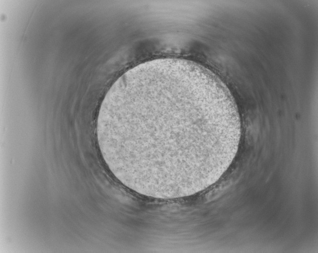 X0000057080769200510071844