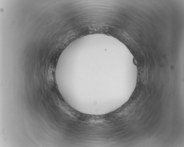 X0000057080770200510071844