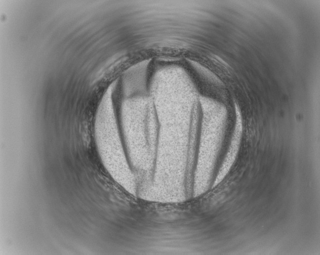 X0000057080774200510071844