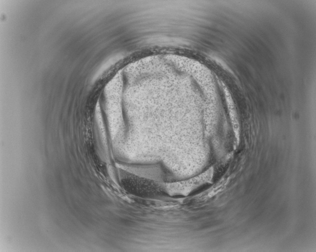 X0000057080775200510071844