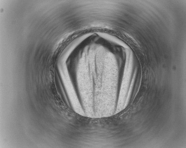 X0000057080776200510071844