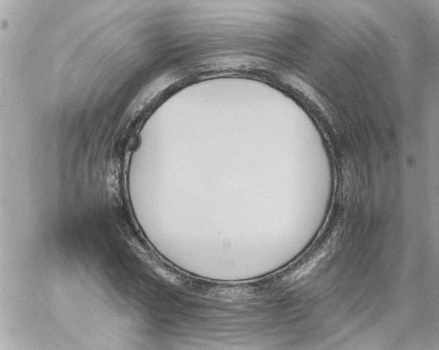 X0000057080778200510071844