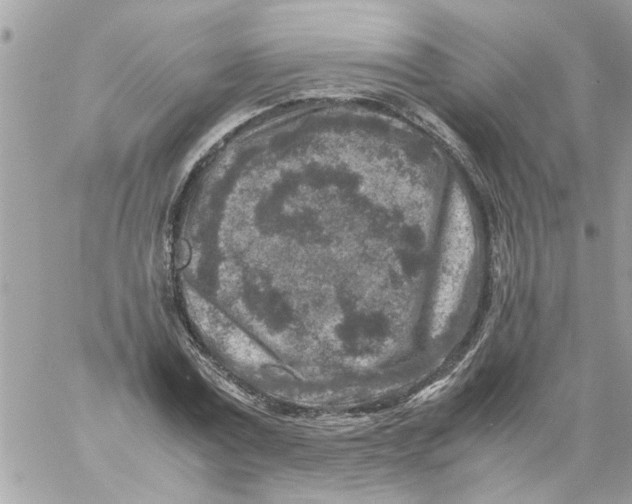 X0000057080779200510071844