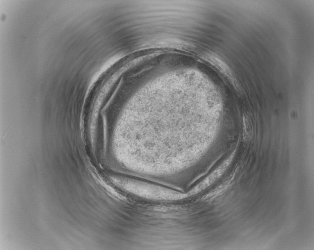 X0000057080780200510071844