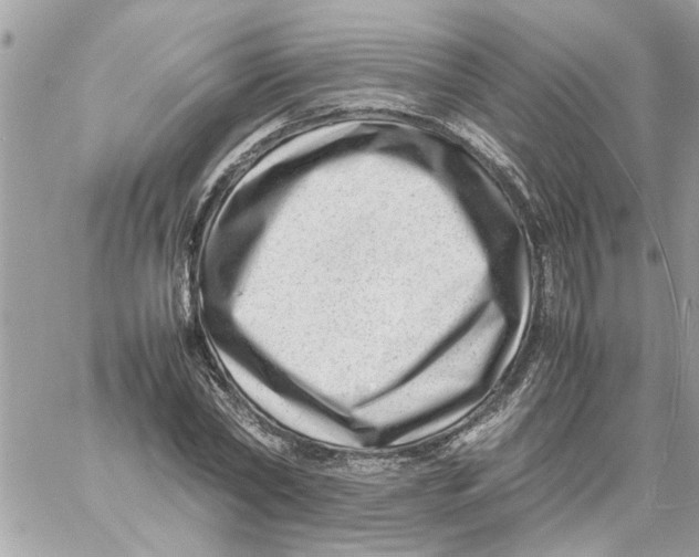 X0000057080782200510071844