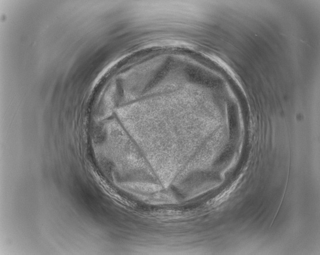 X0000057080783200510071844