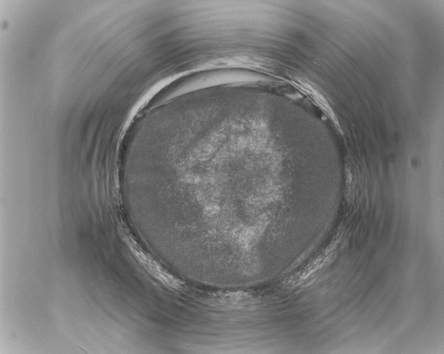 X0000057080784200510071844