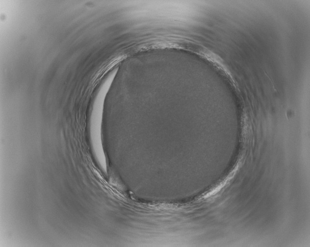 X0000057080785200510071844