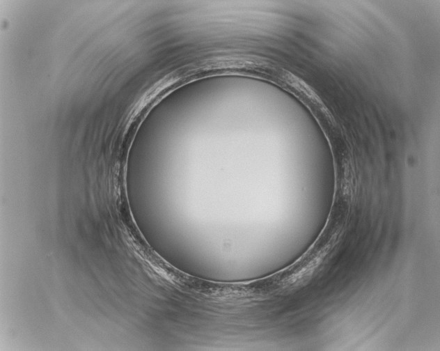 X0000057080786200510071844